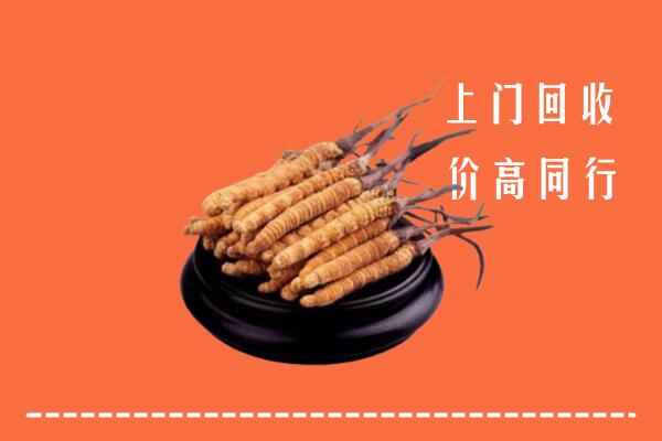 高价求购：博尔塔拉州回收散虫草
