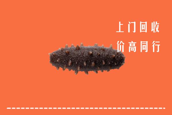 博尔塔拉州回收海参